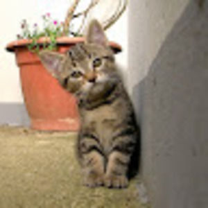 Meet your Posher, Denise